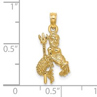 14K Yellow Gold 3-D Aquarius Zodiac Charm view 3