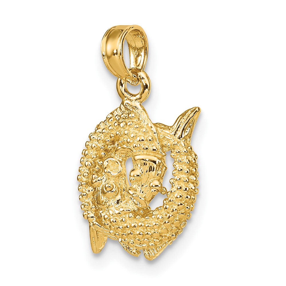 14k 3-D Pisces Zodiac Charm (C3154)