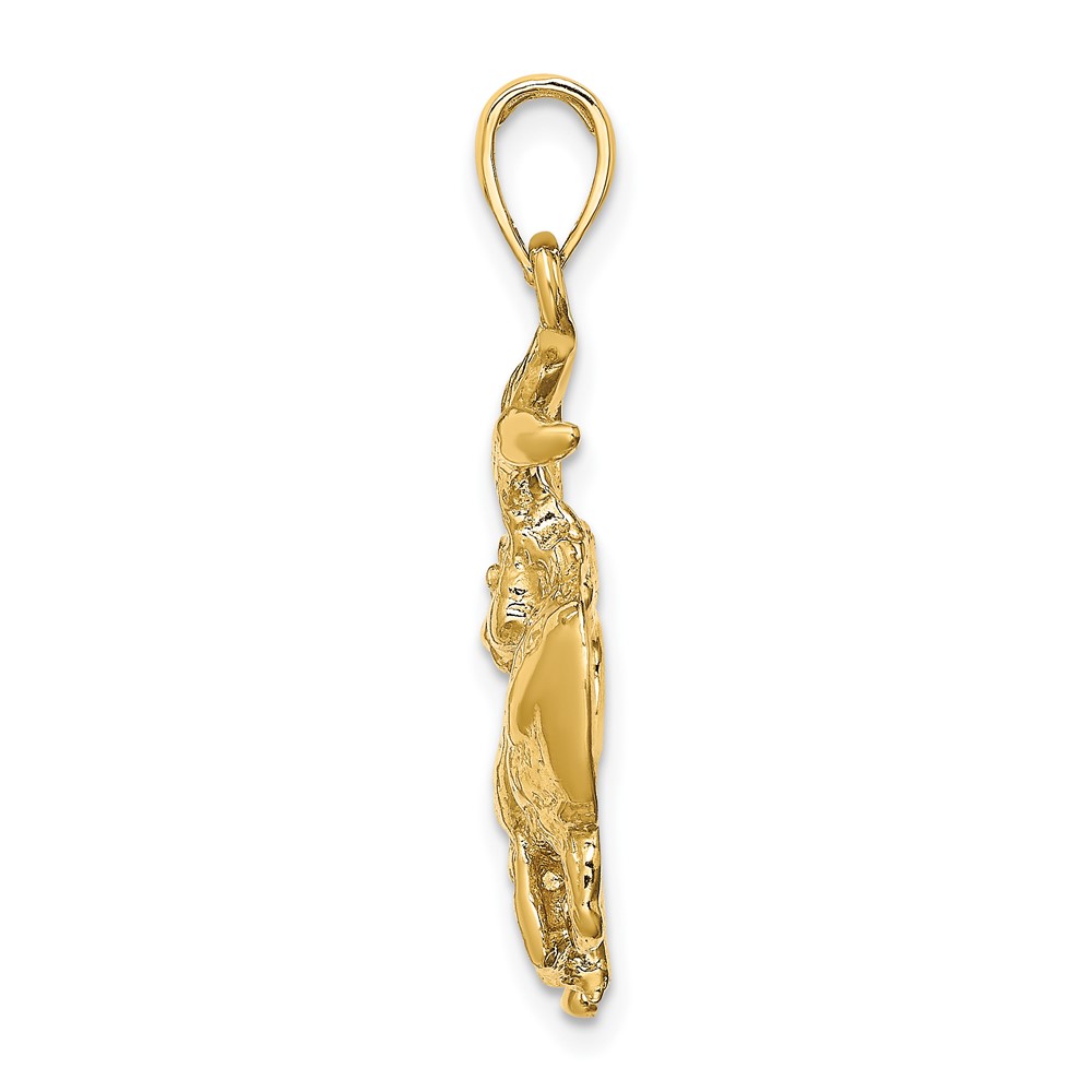 14k Large Taurus Zodiac Charm (C3168)