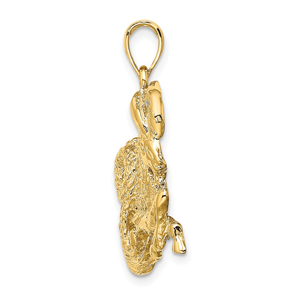 14k Large Capricorn Zodiac Charm (C3176)