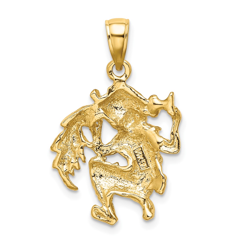 14k Large Aquarius Zodiac Charm (C3177)