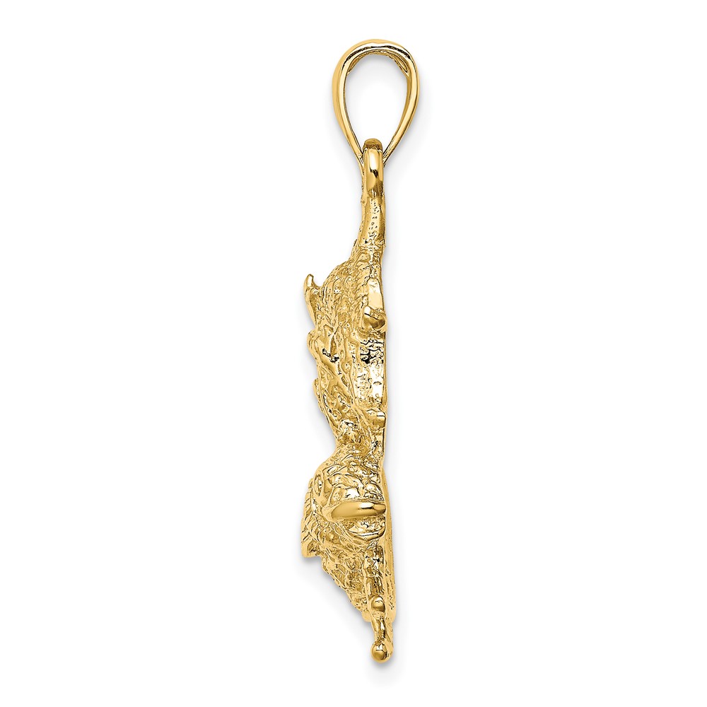 14k Large Pisces Zodiac Charm (C3178)