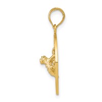 14K Yellow Gold Puerto Rico Pendant with Frog view 2