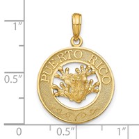 14K Yellow Gold Puerto Rico Pendant with Frog view 4