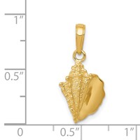 14K Yellow Gold Solid Polished Conch Shell Pendant view 4