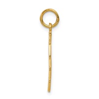 14K Yellow Gold Polished Taken Vertical Charm view 2