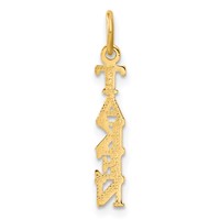 14K Yellow Gold Polished Taken Vertical Charm view 3