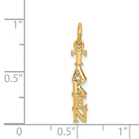 14K Yellow Gold Polished Taken Vertical Charm view 4