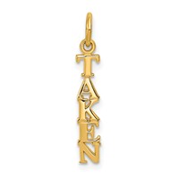 14K Yellow Gold Polished Taken Vertical Charm view 1