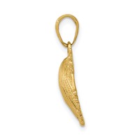 14K Yellow Gold Scallop Shell Pendant view 2