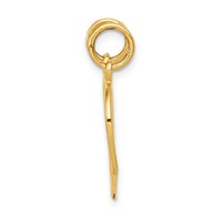 14K Yellow Gold Mom-daughter 2-Piece Break-apart Heart Charm view 2