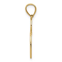 14K Yellow Gold Passion Cross Charm view 2