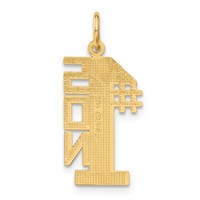 14K Yellow Gold #1 Son Charm view 3
