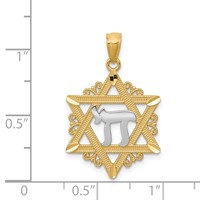14K and White Rhodium Star of David Pendant with Chai view 4
