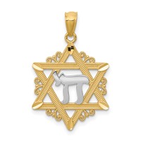 14K and White Rhodium Star of David Pendant with Chai view 1