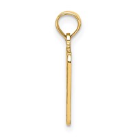 14K Yellow Gold Birth Certificate Charm view 2