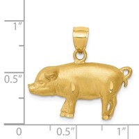 14K Yellow Gold Satin Diamond-cut Pig Pendant view 3