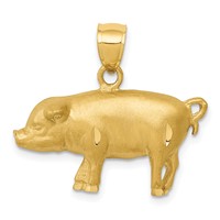 14K Yellow Gold Satin Diamond-cut Pig Pendant view 1
