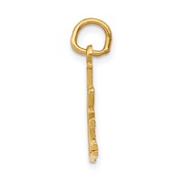 14K Yellow Gold I Love Music Charm view 2