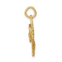 14K Yellow Gold Satin Diamond-cut Comb and Scissors Charm view 2