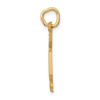 14K Yellow Gold RN Registered Nurse Charm view 2