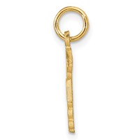 14K Yellow Gold RN Registered Nurse Charm view 2