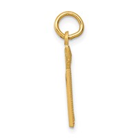 14K Yellow Gold Diamond-cut RN Registered Nurse Charm view 2