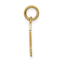 14K Yellow Gold Diploma Engravable Charm view 2
