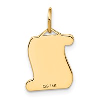 14K Yellow Gold Diploma Engravable Charm view 3