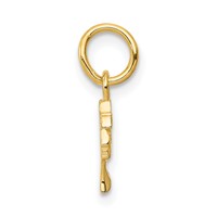 14K Yellow Gold Nefertiti Charm view 2