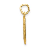 14K Yellow Gold Satin Front Polished Back Nefertiti Charm view 2