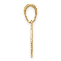 14K Yellow Gold Star of David and Chai in Circle Pendant view 2