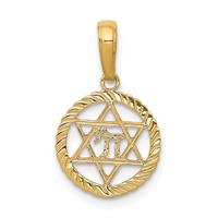 14K Yellow Gold Star of David and Chai in Circle Pendant view 1
