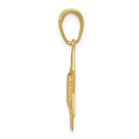 14K Yellow Gold Star of David Pendant with Tablets in Center view 2