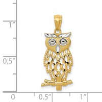 14K and White Rhodium Diamond-cut Owl Pendant view 3