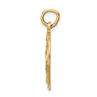 14K Yellow Gold Horseshoe Charm view 2