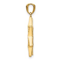 14K Two-tone Star of David and Torah Reversible Pendant view 2