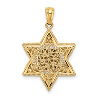 14K Two-tone Star of David and Torah Reversible Pendant view 4
