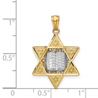 14K Two-tone Star of David and Torah Reversible Pendant view 3