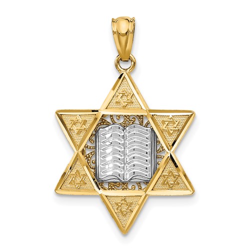14K Two-tone Star of David and Torah Reversible Pendant