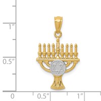 14K and White Rhodium Star of David Menorah Pendant view 4