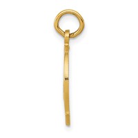14K Good Luck Horseshoe Charm view 2