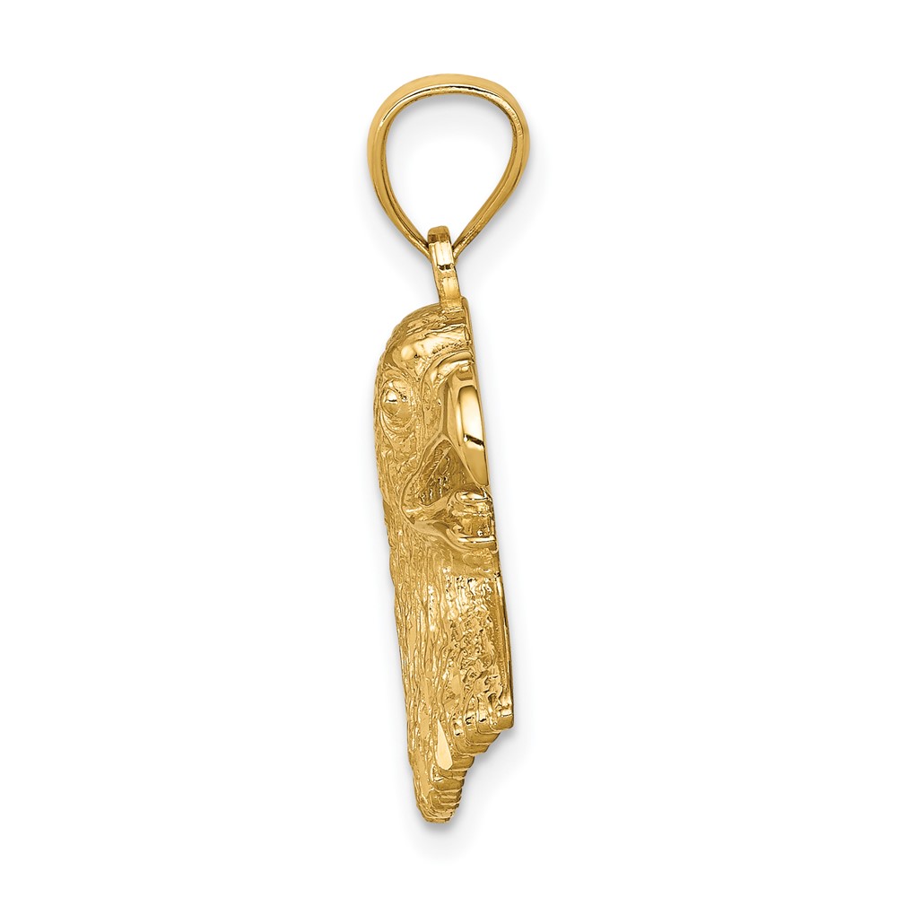 14K Diamond-Cut Eagle Pendant (C4576)