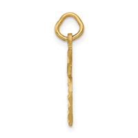 14K Yellow Gold Diamond-cut Apple Charm view 2
