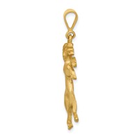 14K Yellow Gold Satin Diamond-cut Aries Zodiac Charm view 2