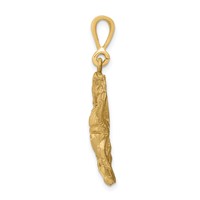 14K Yellow Gold Satin Diamond-cut Cancer Zodiac Charm view 2