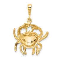 14K Yellow Gold Satin Diamond-cut Cancer Zodiac Charm view 3