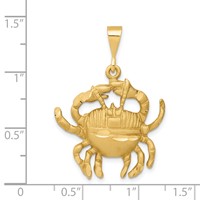 14K Yellow Gold Satin Diamond-cut Cancer Zodiac Charm view 4