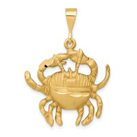 14K Yellow Gold Satin Diamond-cut Cancer Zodiac Charm view 1