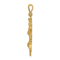 14K Yellow Gold Satin Diamond-cut Leo Zodiac Charm view 2